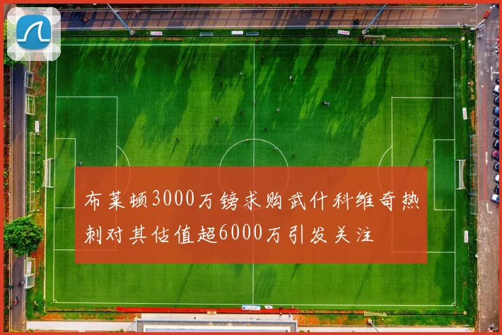 布莱顿3000万镑求购武什科维奇热刺对其估值超6000万引发关注