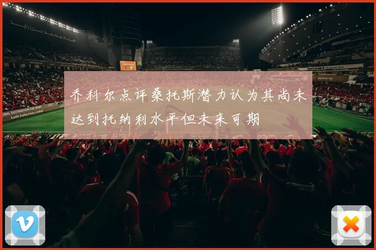 乔科尔点评桑托斯潜力认为其尚未达到托纳利水平但未来可期